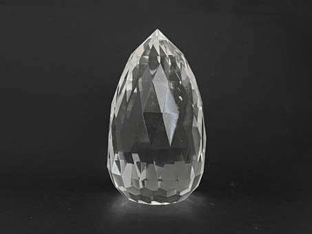 Kriyashakti Activator 238g