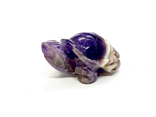 Amethyst Turtle