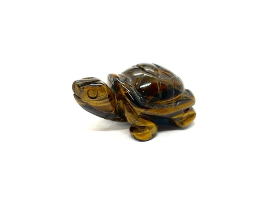 Tigers Eye Turtle