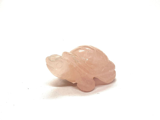 Rose Quartz Turtle